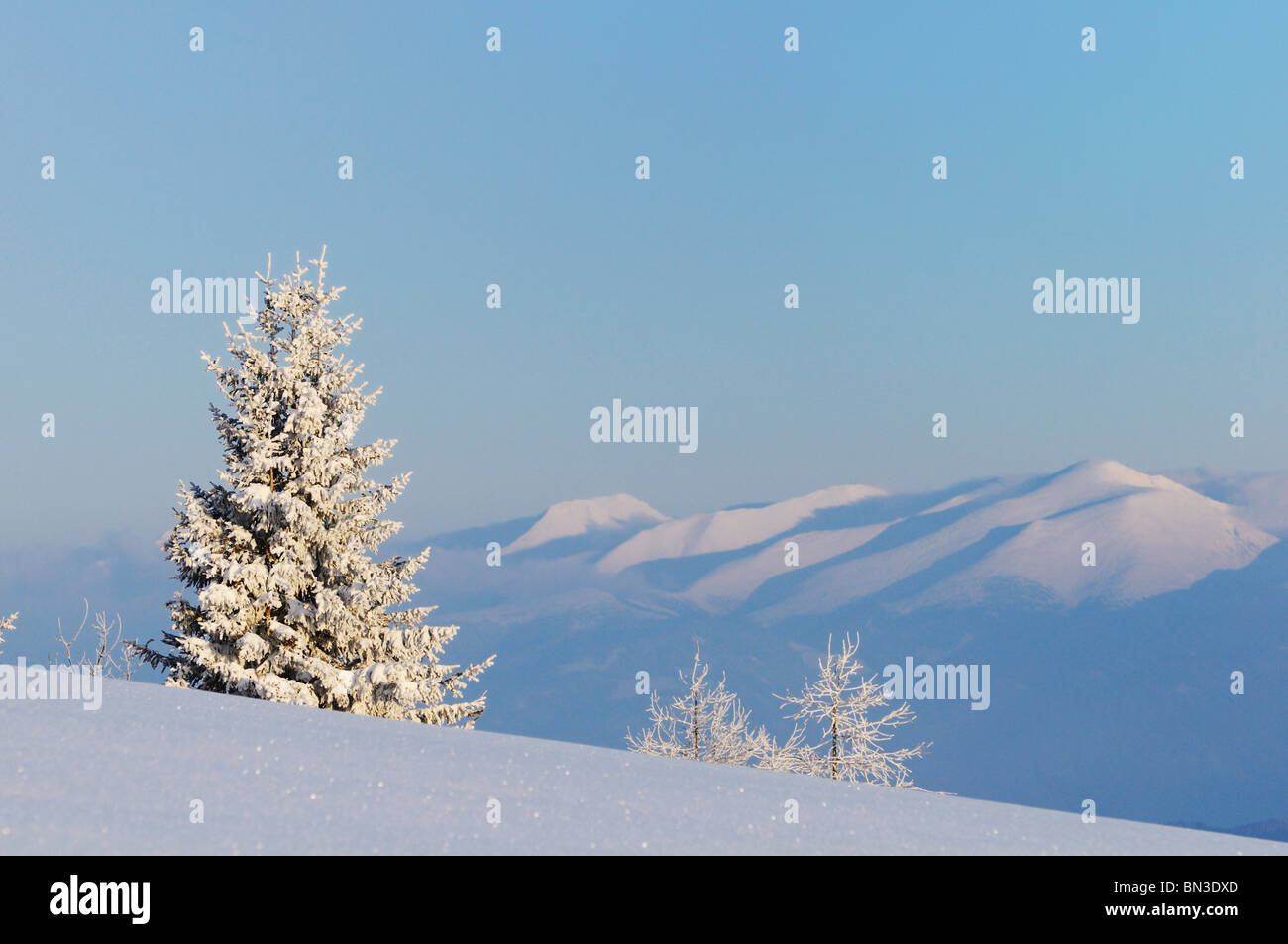 Coperto di neve e pascoli di montagna, Stiria, Austria Foto Stock