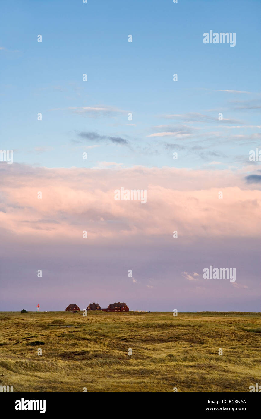 Case col tetto di paglia in background, Ellenbogen, Sylt, Germania Foto Stock