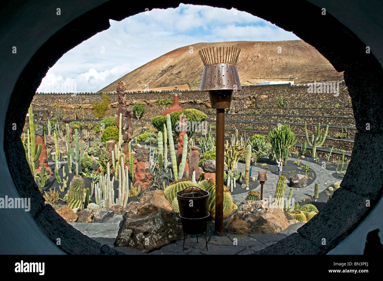 Jardin de Cactus, Guatiza, Lanzarote, Isole Canarie, Spagna, Europa Foto Stock