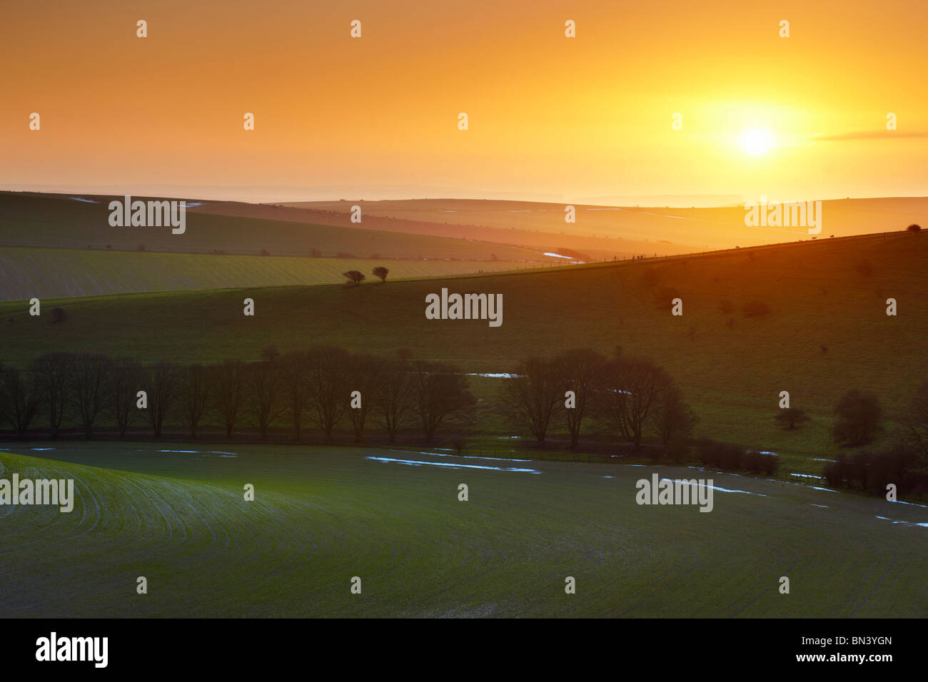 South Downs sunrise Standean vicino a fondo. Giacente neve ancora visibili attorno al bordo dei campi. Foto Stock