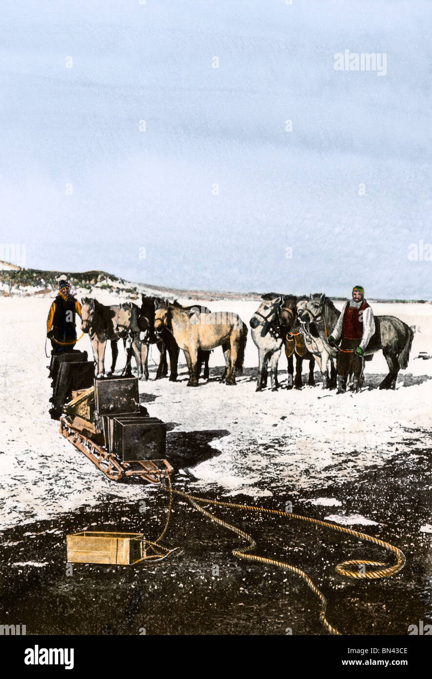 Manchurian pony utilizzata da Shackleton in Antartide, 1908-09. Colorate a mano i mezzitoni di una fotografia Foto Stock