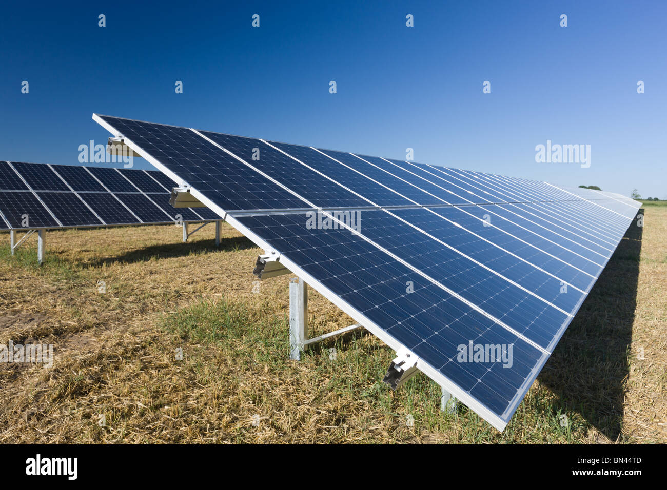 Fotovoltaiche moduli in una fattoria solare Foto Stock