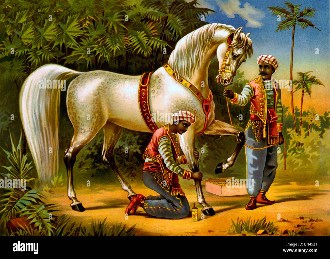 Il Sultan's destriero - due uomini Turco, uno di essi mettere pomata lenitiva a cavallo della gamba. Foto Stock