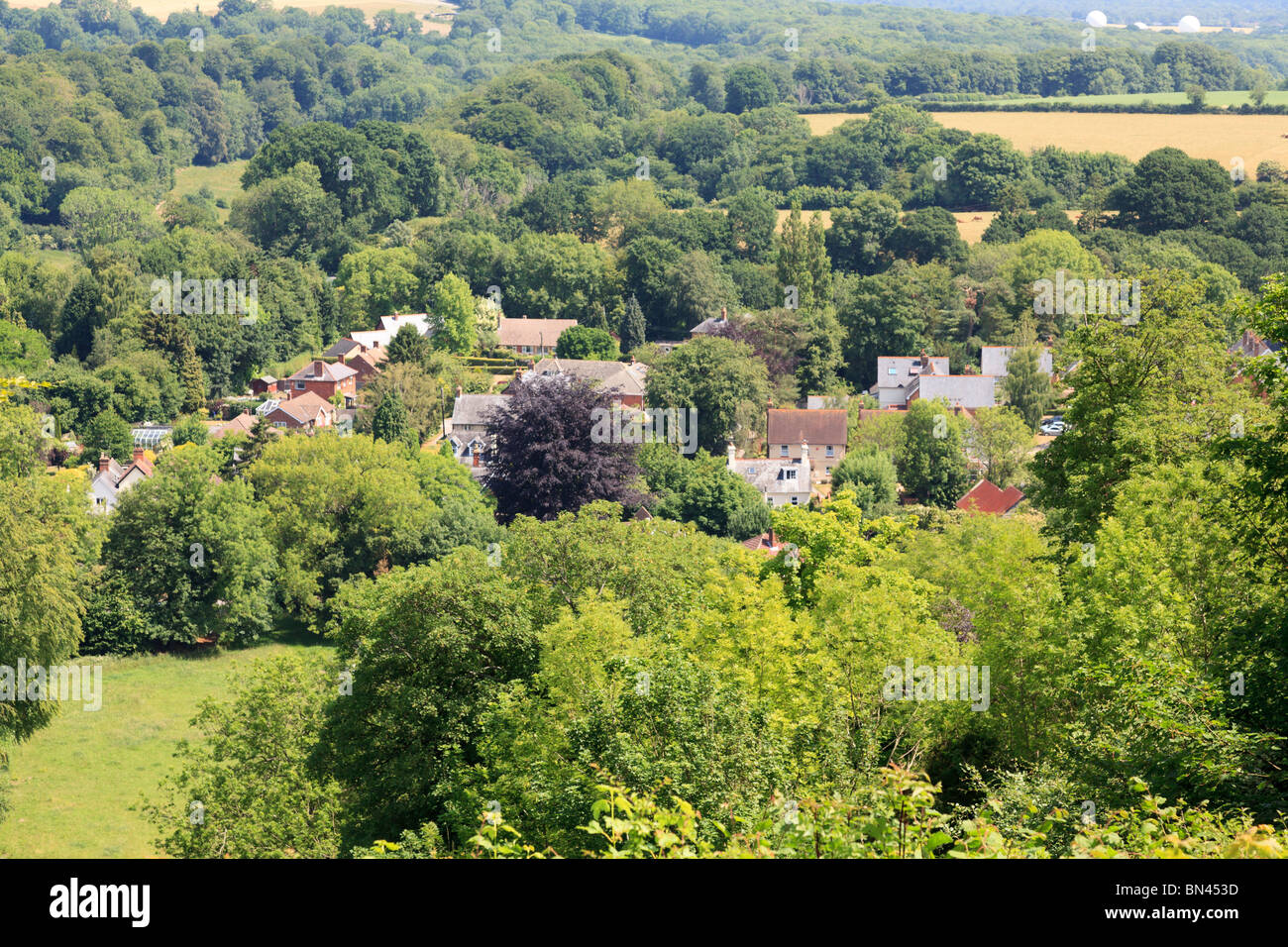 Vista del villaggio di Selborne dalla parte superiore del percorso a zig-zag Foto Stock