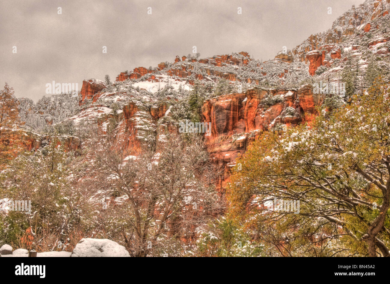 Sedona in Arizona Red Rock Zona Primavera Foto Stock