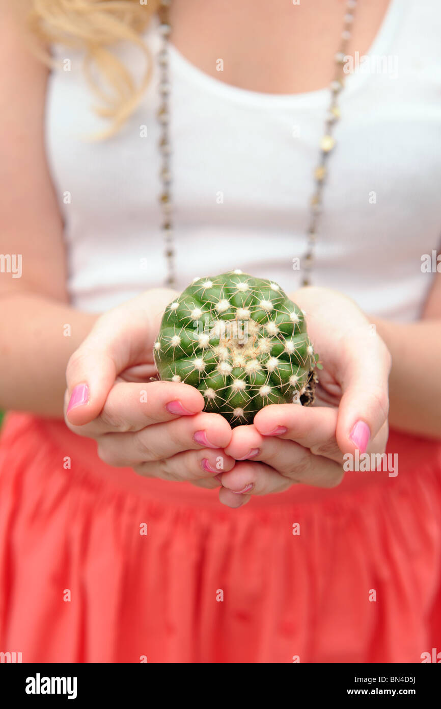 Donna di mani cactus Foto Stock