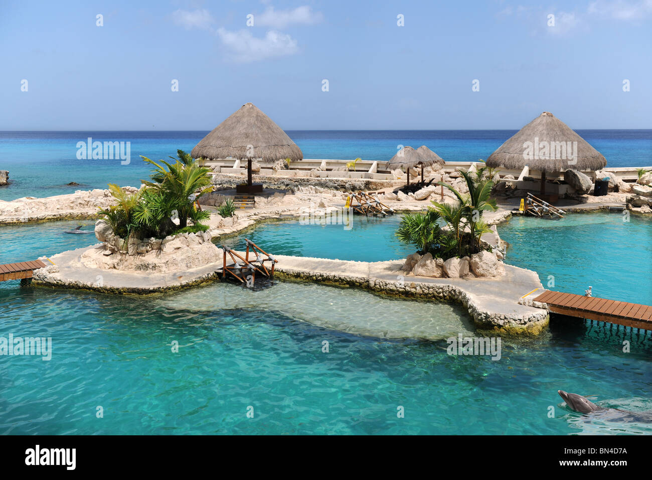Il Delfinario di Cozumel Messico con spiaggia in background Foto Stock