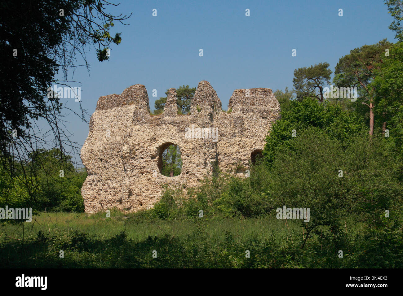 La pietra focaia le rovine e mantenere ottagonale del Castello Odiham (noto localmente come 'Re Giovanni Castello dell'), Hampshire REGNO UNITO. Foto Stock