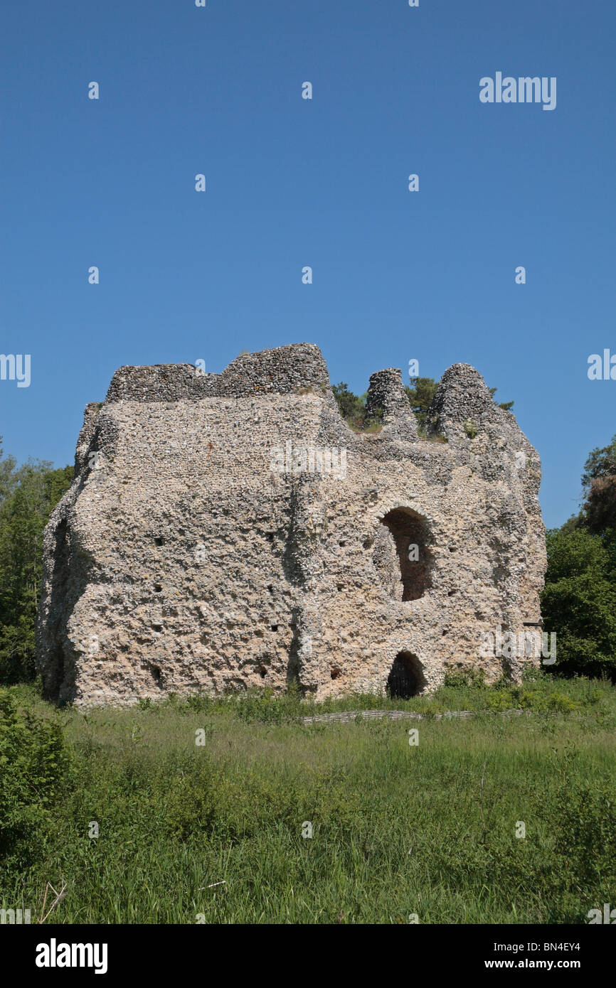 La pietra focaia le rovine e mantenere ottagonale del Castello Odiham (noto localmente come 'Re Giovanni Castello dell'), Hampshire REGNO UNITO. Foto Stock