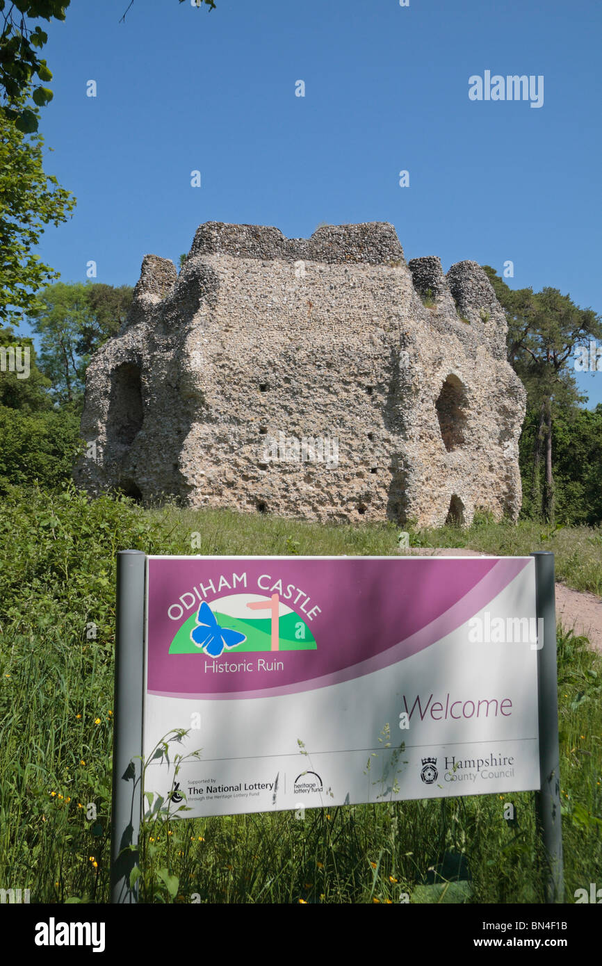 Sito pannello di ingresso a pietra focaia le rovine e mantenere ottagonale del Castello Odiham (noto localmente come 'Re Giovanni Castello dell'), Hampshire REGNO UNITO. Foto Stock