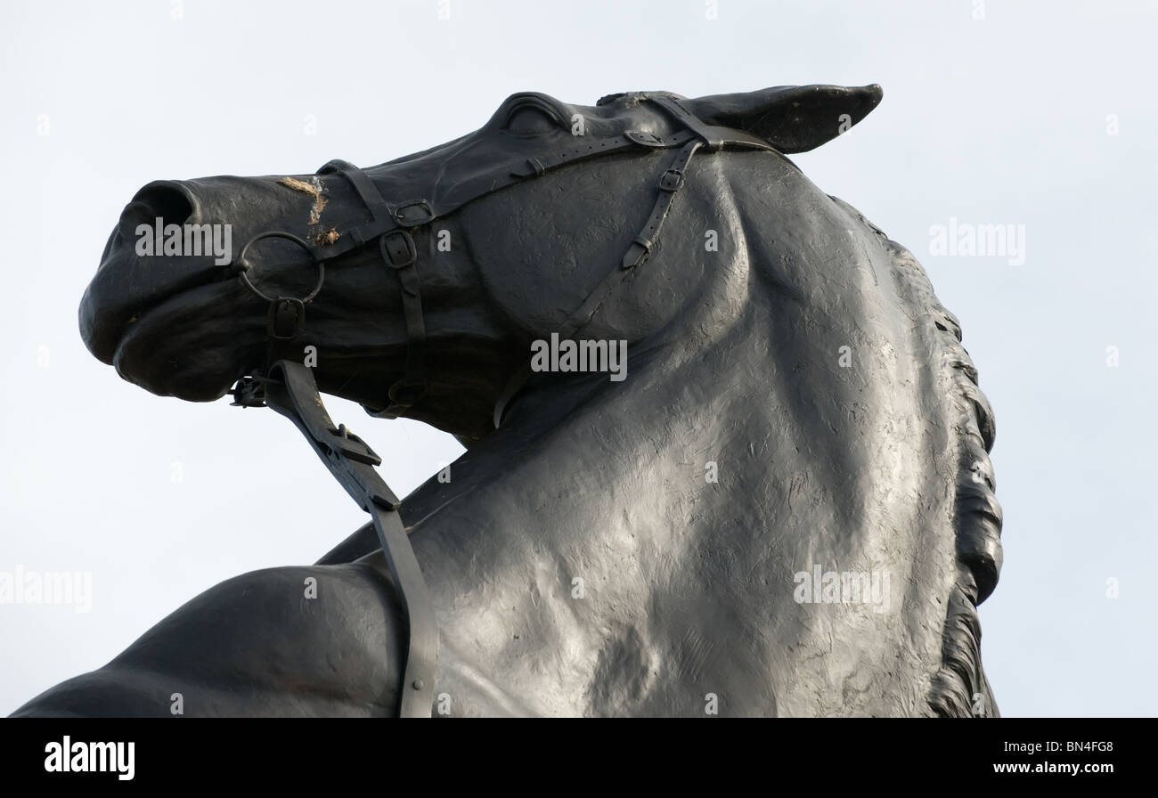 Una statua di nero di un cavallo in piedi sulle zampe posteriori impennarsi con il suo gestore a tenere le redini. Foto di Matt Kirwan. Foto Stock