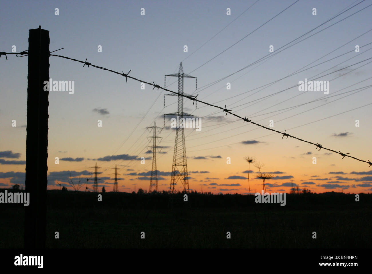 Filo spinato e fili elettrici sono visti nel tramonto su un campo agricolo Foto Stock