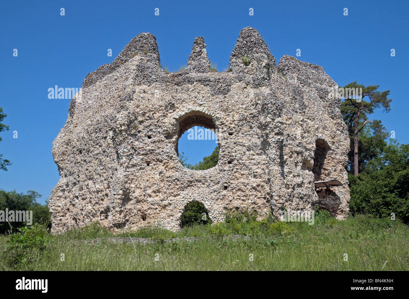 La pietra focaia le rovine e mantenere ottagonale del Castello Odiham (noto localmente come 'Re Giovanni Castello dell'), Hampshire REGNO UNITO. Foto Stock
