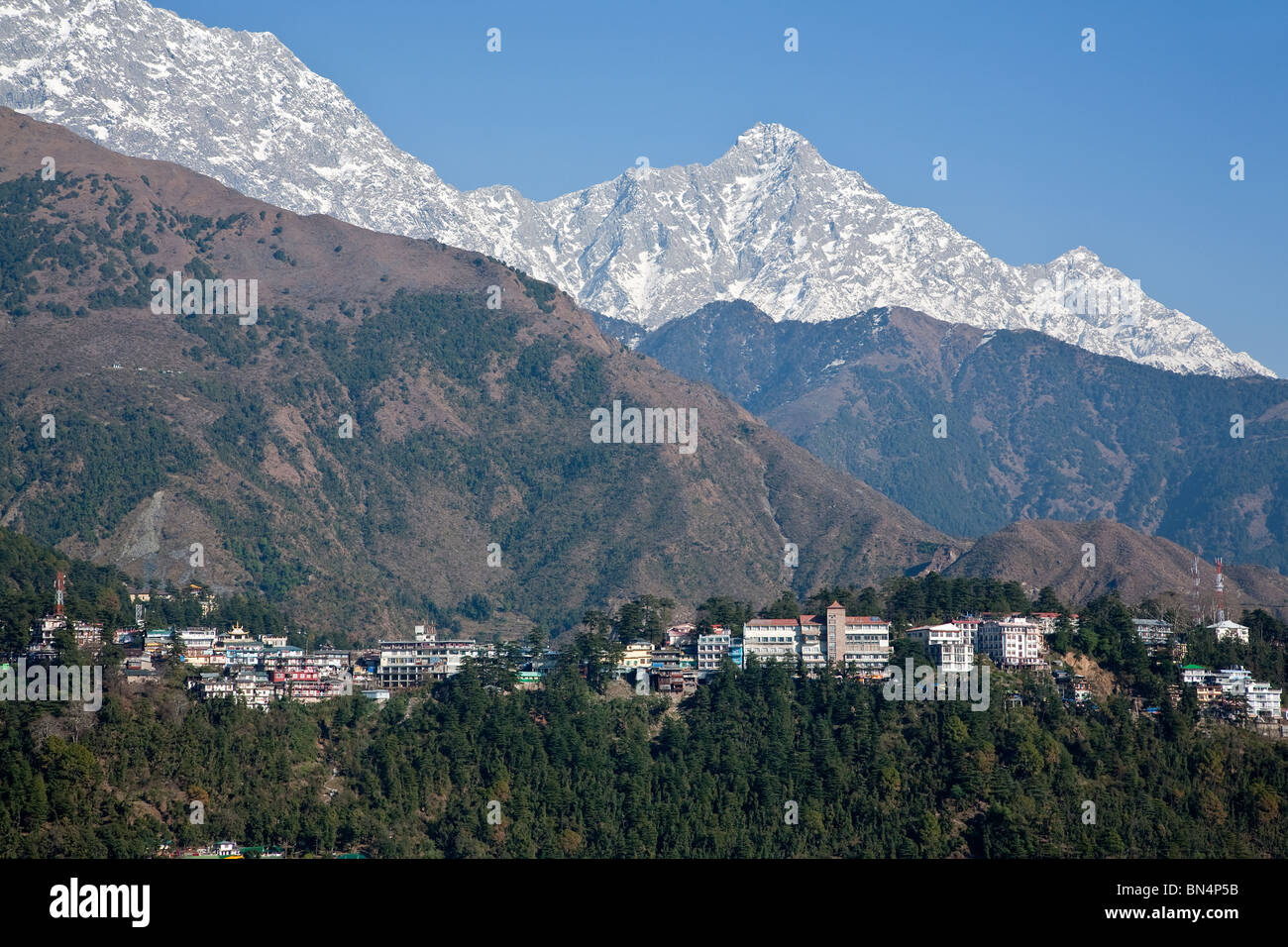 McLeod Ganj (governo del Tibet in esilio). Dharamsala. India Foto Stock