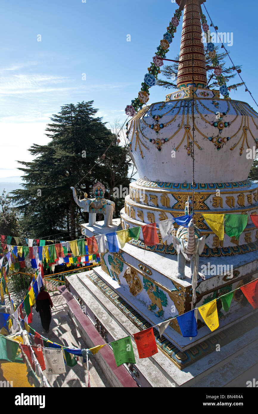 Stupa buddisti e bandiere di preghiera. McLeod Ganj (Governo del Tibet in esilio). Dharamsala. India Foto Stock