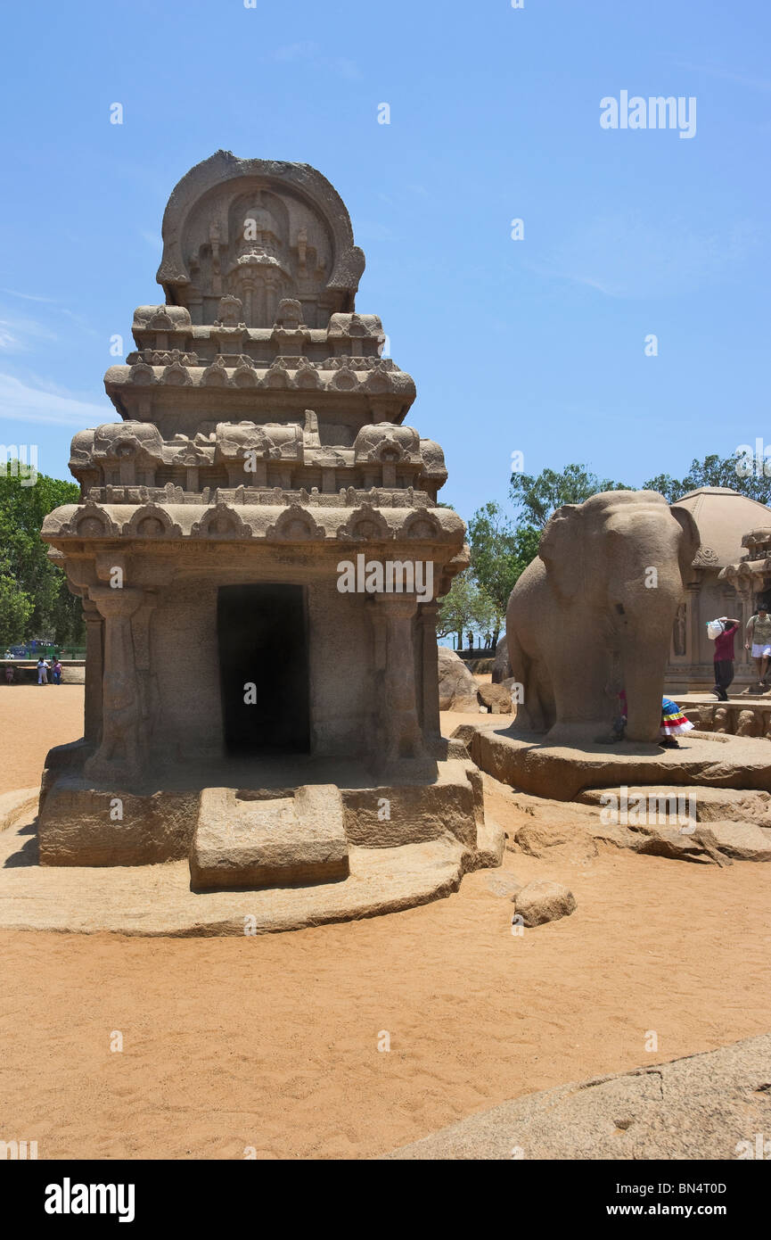 India Tamil Nadu Mamallapuram il Nakul Sahdeva Ratha nel Panch Rathas, un insieme monolitico di altari del VII secolo Foto Stock