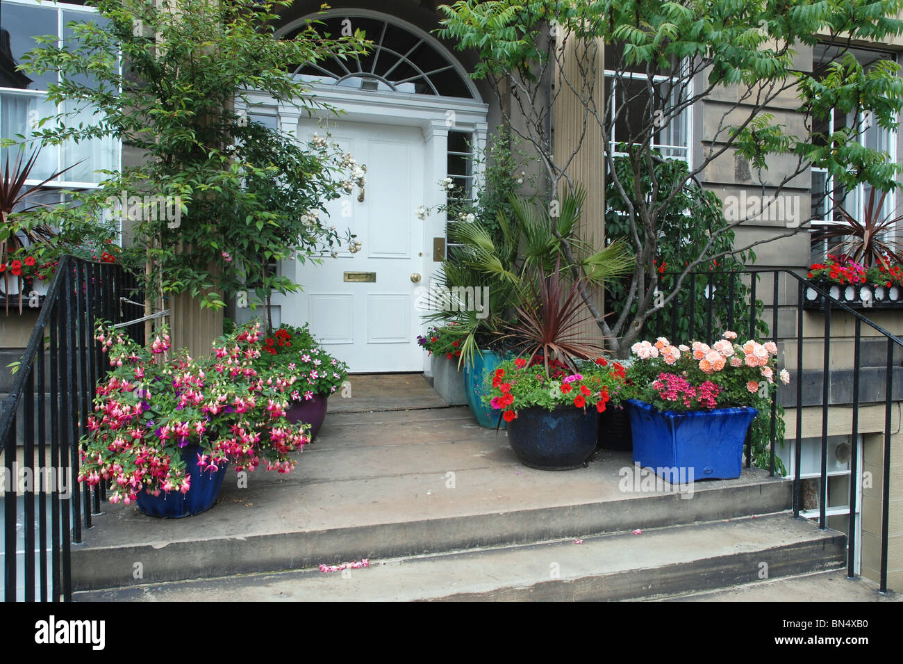 Un urbano 'Garden' sulla soglia di un edificio nella zona nuova di Edinburgo. Foto Stock