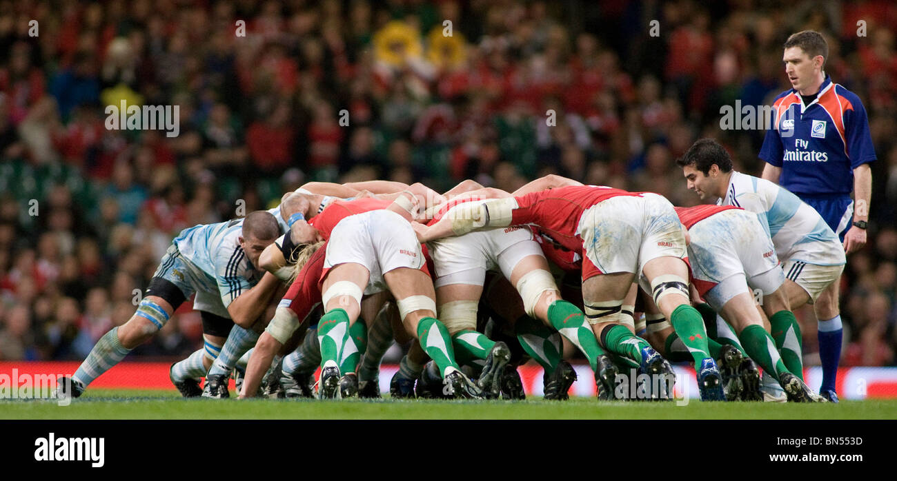 CARDIFF Wales. 21-11-2009 l'Invesco Perpetual Internazionale di Rugby Union match tra Galles e Argentina Foto Stock