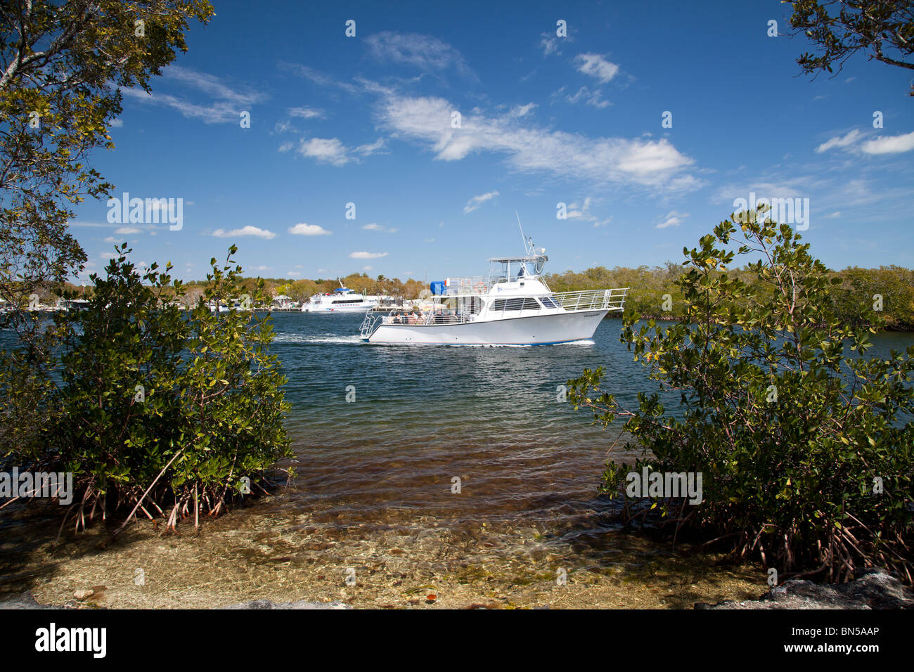 Gita in barca di prendere i turisti intorno al John Pennekamp State Park, Key Largo, Florida. Foto Stock