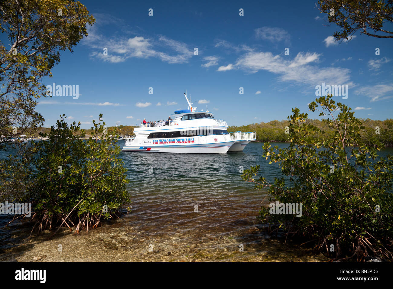 Gita in barca di prendere i turisti intorno al John Pennekamp State Park, Key Largo, Florida. Foto Stock
