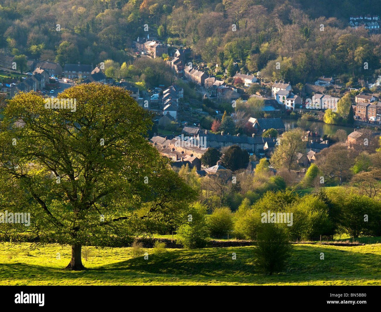 Vista del villaggio di Cromford nel Derbyshire Peak District Inghilterra UK con alberi e erba in primo piano Foto Stock
