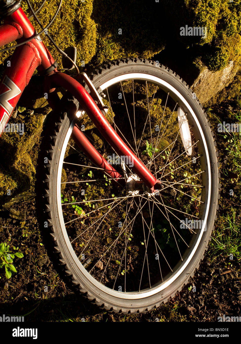 Dettaglio della mountain bike ruota sulla pista ciclabile nel tardo pomeriggio la luce Foto Stock