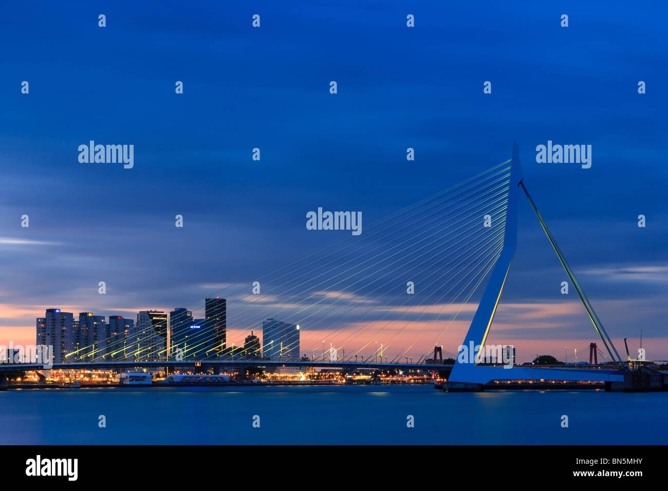 Ponte Erasmus di Rotterdam, Paesi Bassi Foto Stock