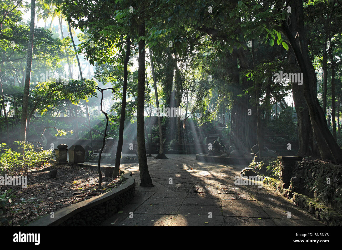 La sacra Foresta delle Scimmie. Ubud, Bali, Indonesia. Fotografato molto presto la mattina prima che le scimmie sono venuti giù dagli alberi Foto Stock