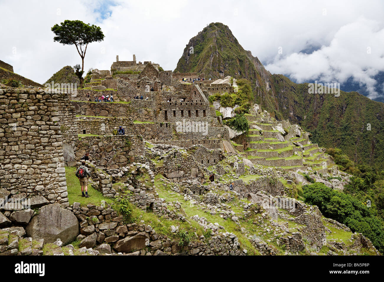 L'insediamento Inca di Machu Picchu, Perù. Foto Stock