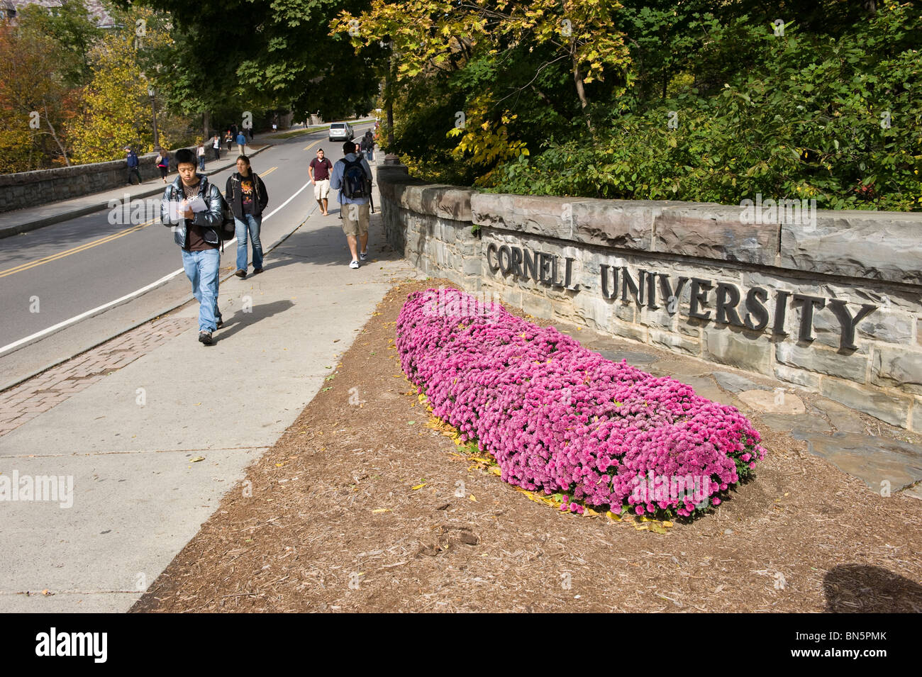 La Cornell University campus Ithaca New York Regione dei Laghi Finger Foto Stock