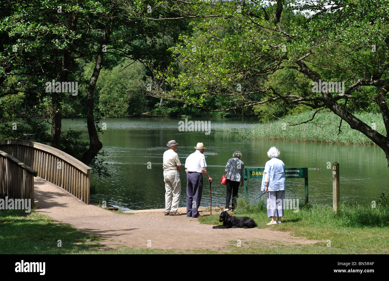 Cannop stagni, Foresta di Dean, Gloucestershire, England, Regno Unito Foto Stock