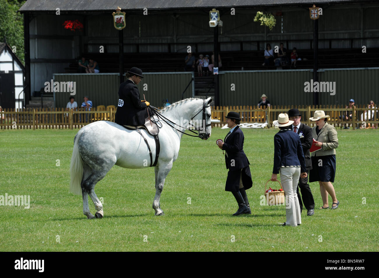 Donna di equitazione sella laterale nel giudicare l'anello Shropshire County Visualizza Foto Stock