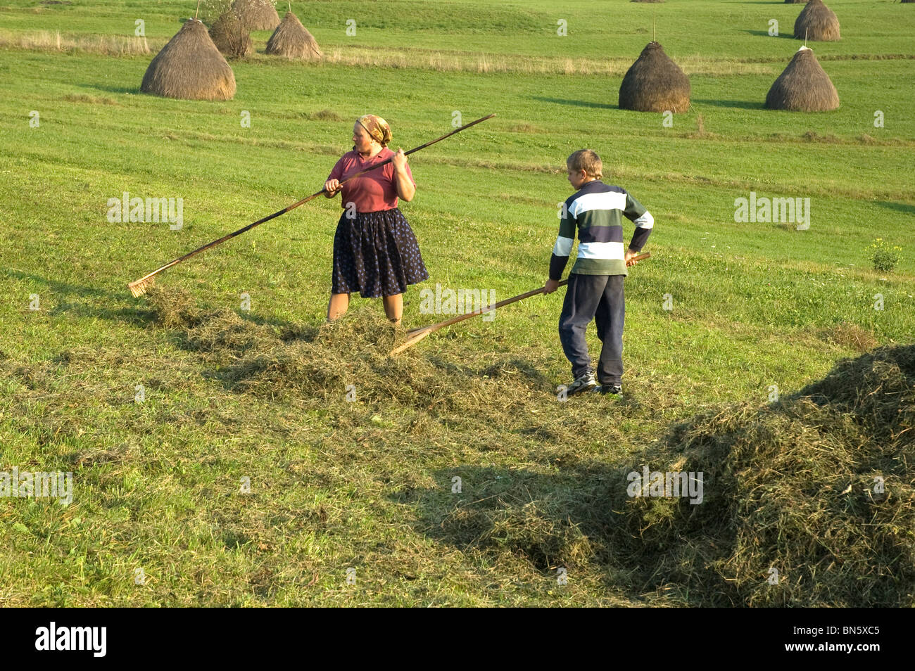 Una madre rumena con suo figlio fare il fieno senza l aiuto di qualsiasi assistenza meccanica Foto Stock