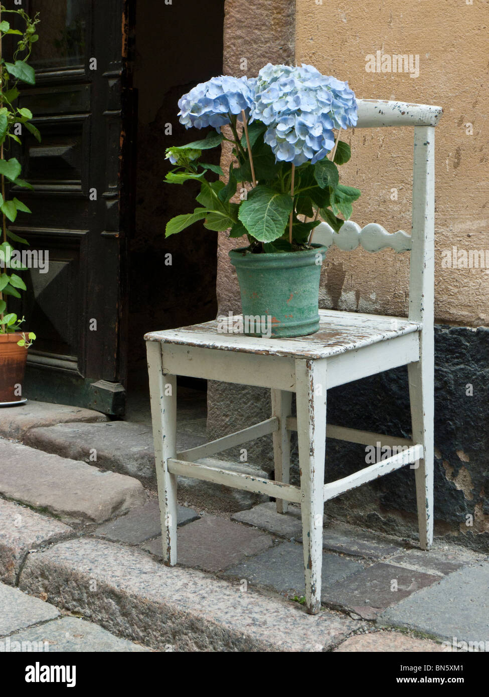 Vecchia sedia con hydrangea, Gamla Stan Stoccolma Svezia Foto Stock