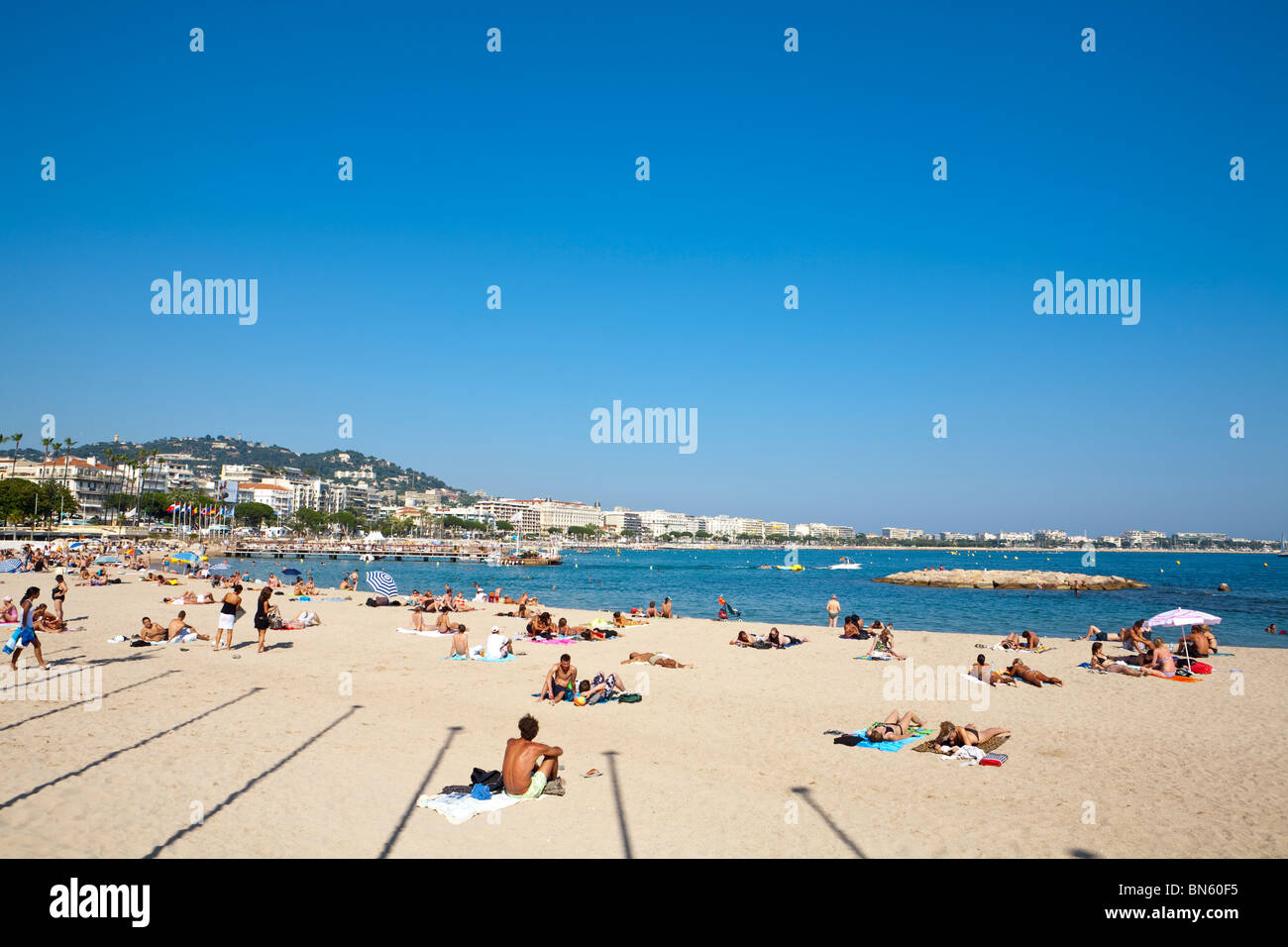 Lucertole da mare sulla spiaggia, Boulevard de la Croisette, Cannes, Provence-Alpes-Côte d'Azur, in Francia Foto Stock
