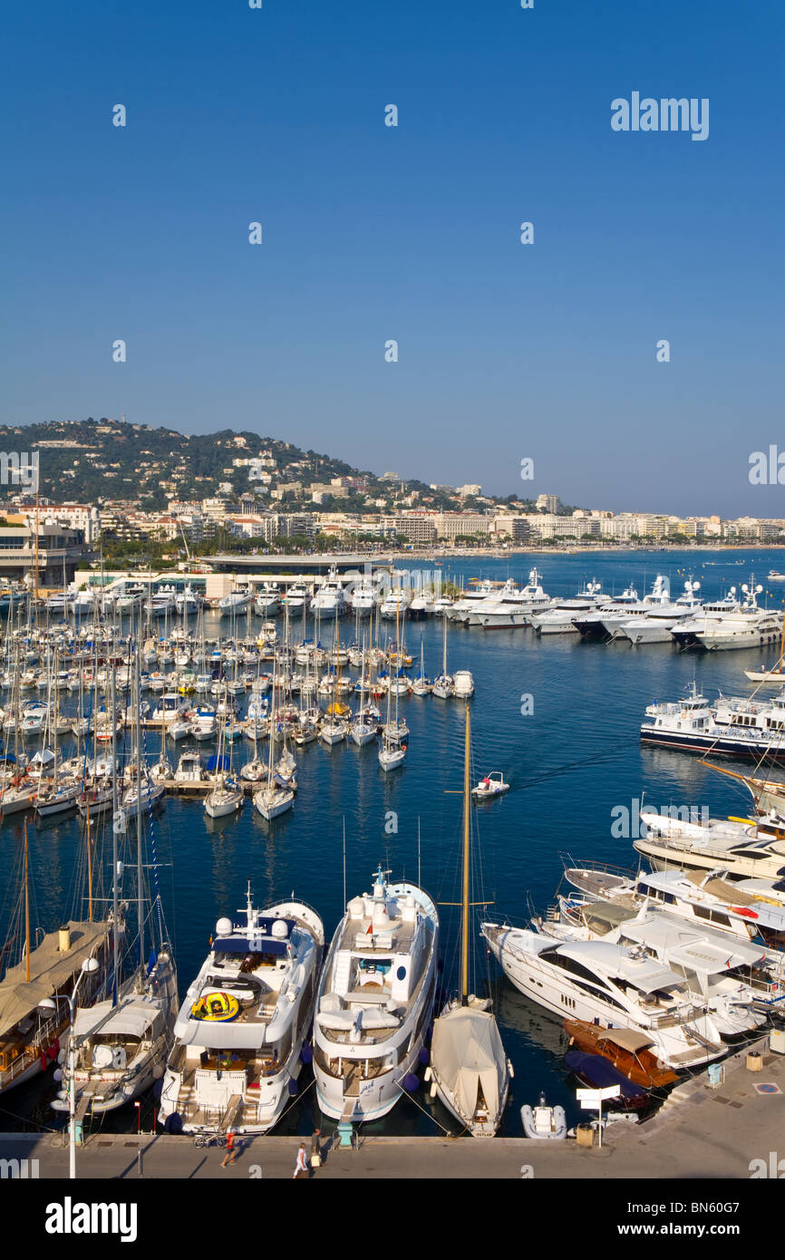 Elevata vista sul Vieux Port, Porto Vecchio, Cannes, Provence-Alpes-Côte d'Azur, in Francia Foto Stock