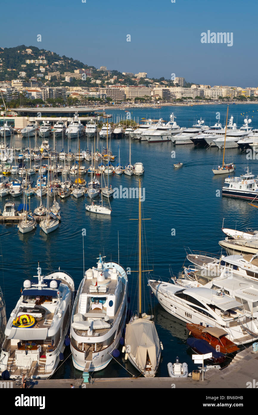 Elevata vista sul Vieux Port, Porto Vecchio, Cannes, Provence-Alpes-Côte d'Azur, in Francia Foto Stock