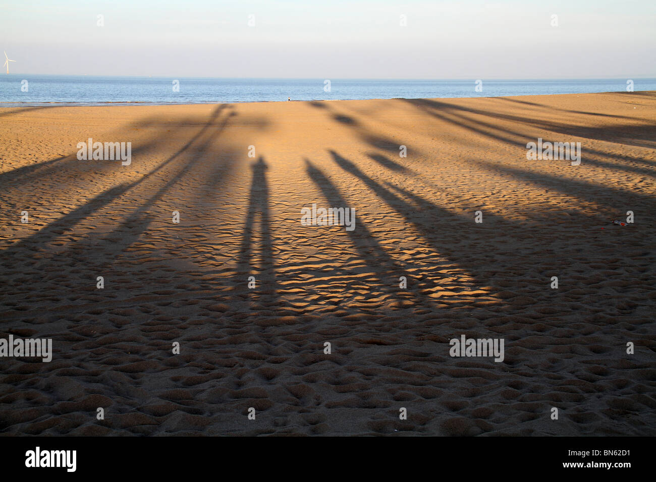 Lunghe ombre di persone su una spiaggia in tarda serata sun. Foto Stock