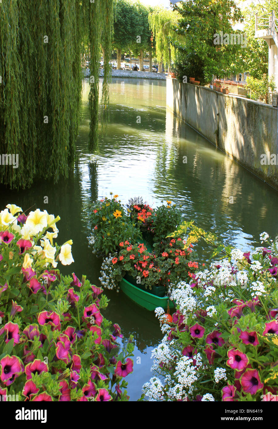 Barca di fiori su un fiume è fiorita Foto Stock