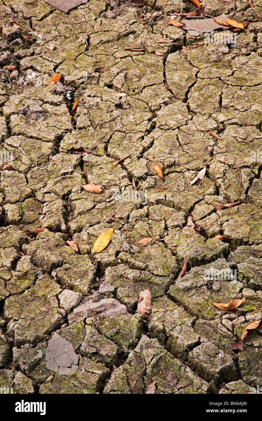 Il riscaldamento globale concetto di massa rotto Foto Stock