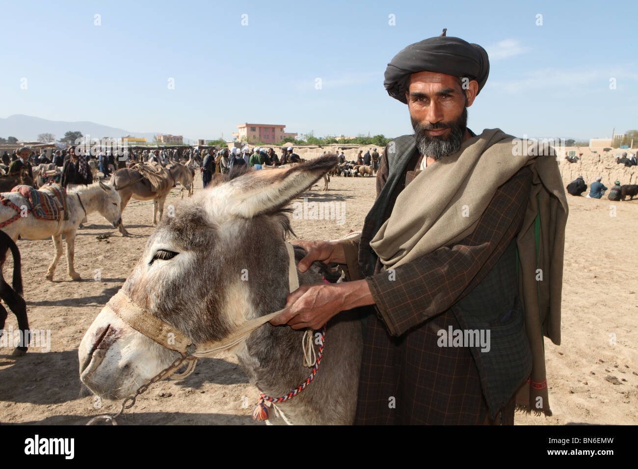Mercato di animali a Mazar-i-Sharif, Afghanistan Foto Stock