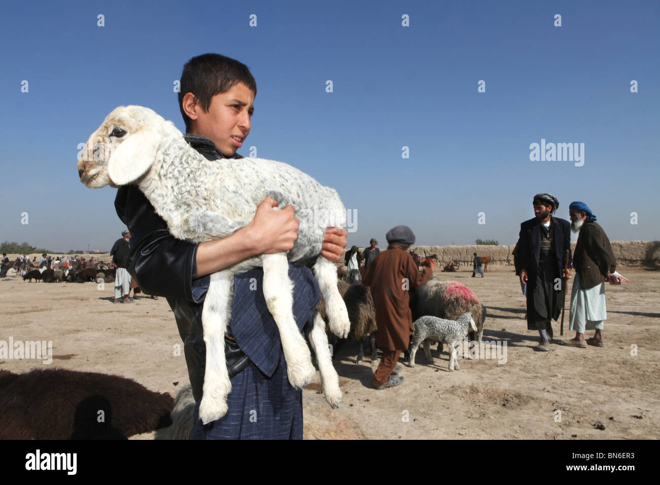 Mercato di animali a Mazar-i-Sharif, Afghanistan Foto Stock