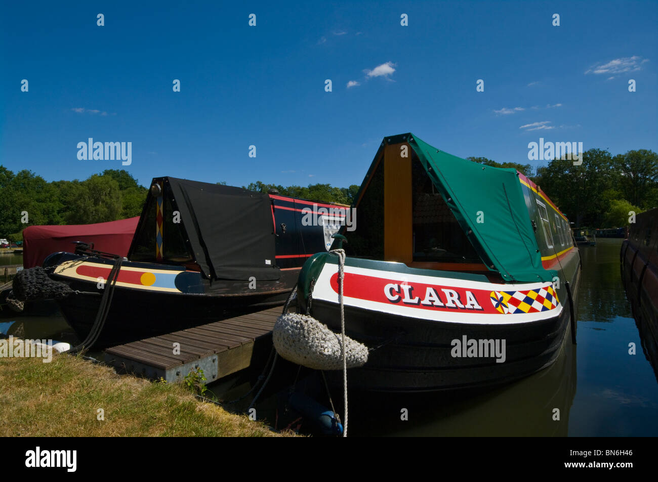 Narrowboats ormeggiati a Marina Pyrford Surrey in Inghilterra Foto Stock