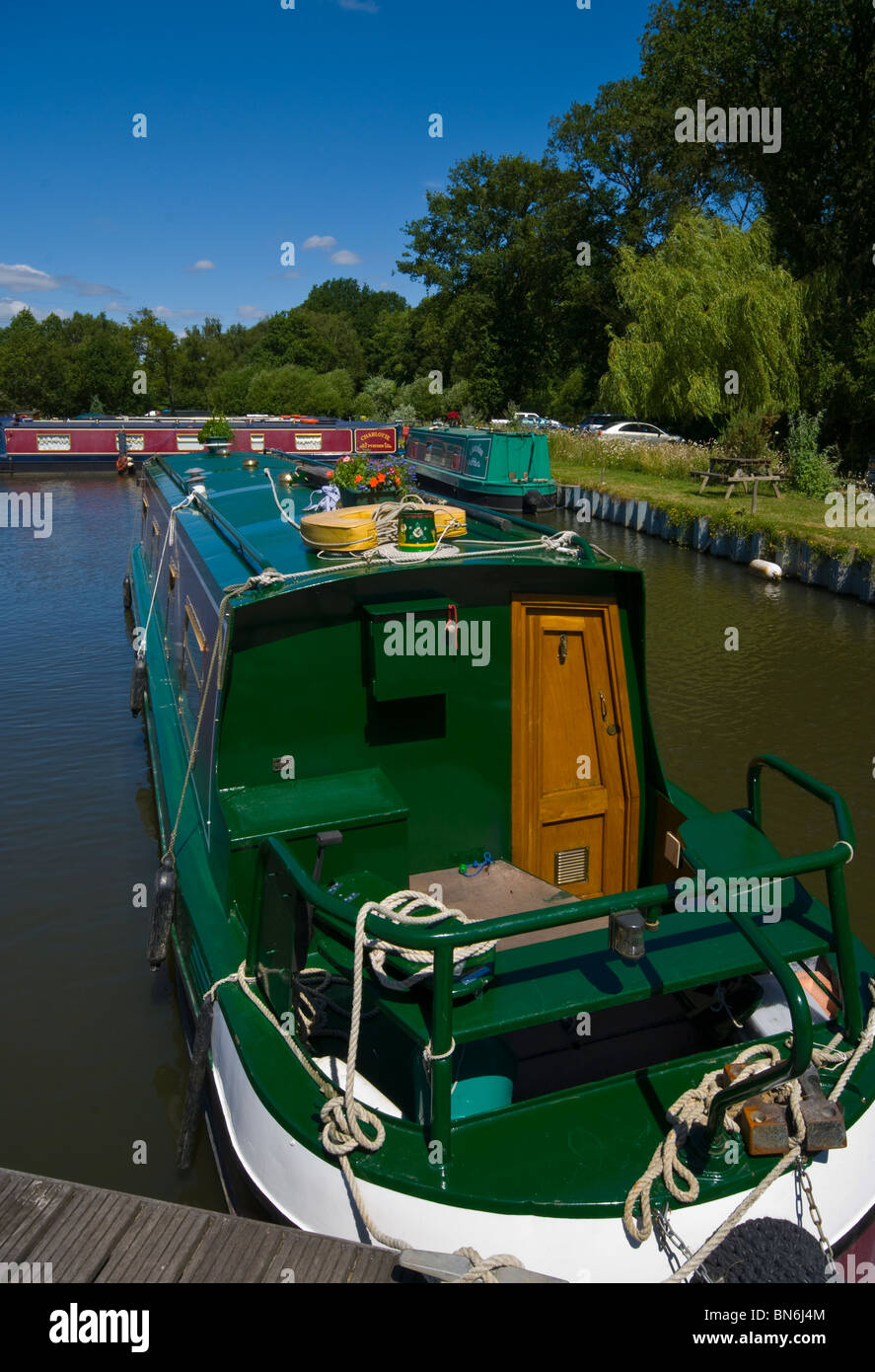 Narrowboats ormeggiati a Marina Pyrford Surrey in Inghilterra Foto Stock