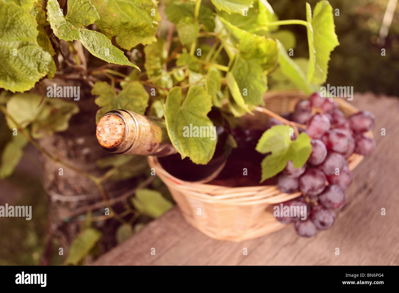 Bottiglia di vino di colore rosa e i mosti di uve in basket,la messa a fuoco su un tappo di sughero. Foto Stock