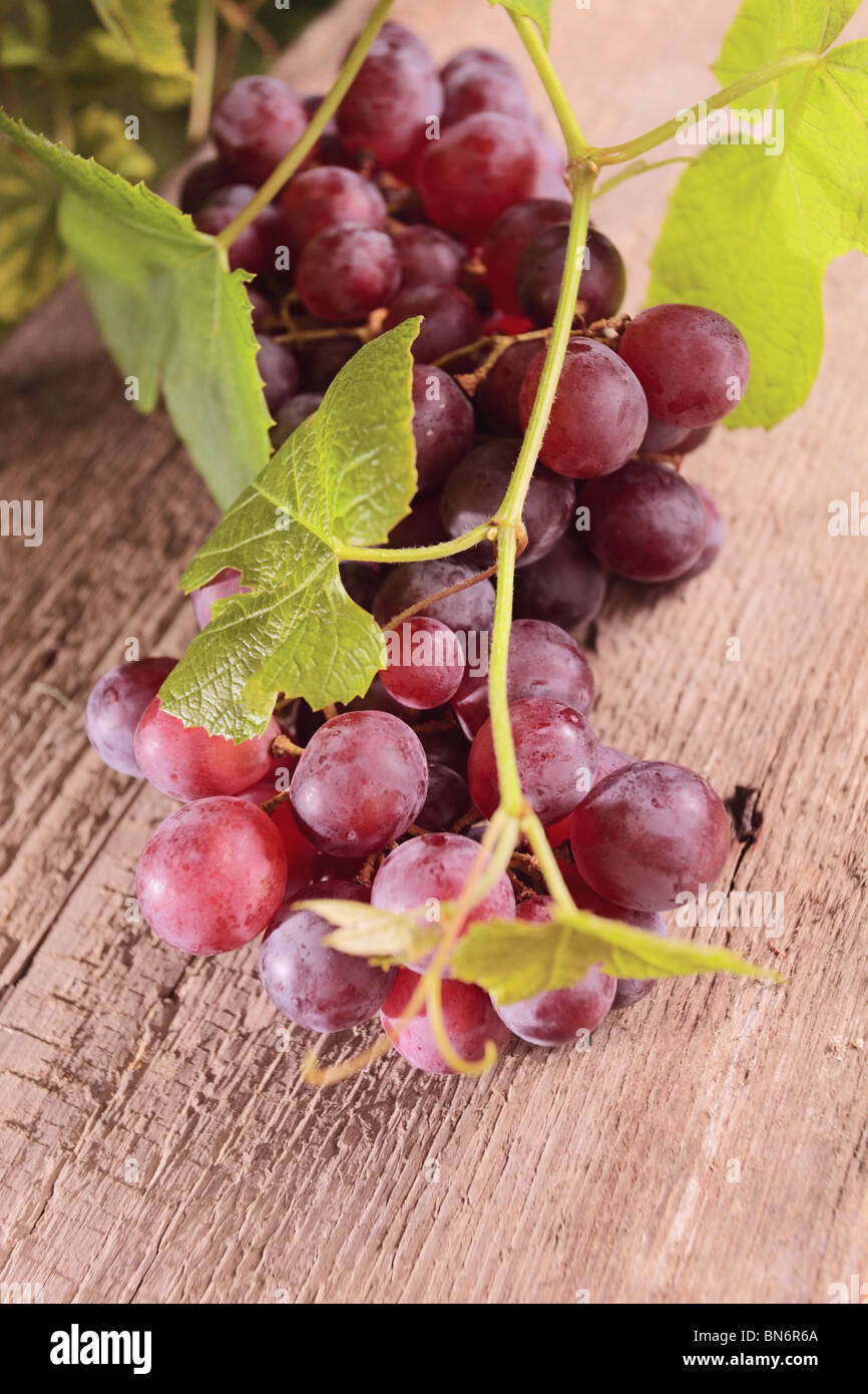 Ripe rosso uva nella vigna. Foto Stock