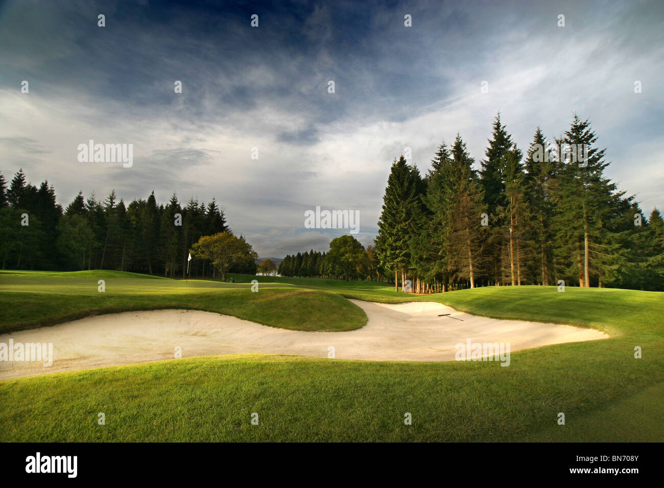 Loch Lomond e campo da Golf di Glasgow, Scozia. Il foro 4 Bunker e ruvida con alberi in background. Foto Stock