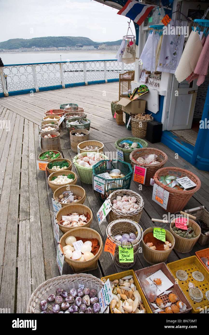 Gusci di souvenir in vendita a Llandudno Pier wales uk Foto Stock