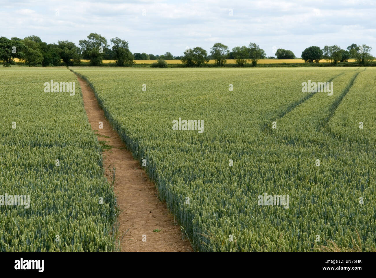 La battaglia di Bosworth Field Field Field Field Field Field, NUOVO SITO, ebbe luogo qui la Guerra delle rose. Sentiero pubblico attraverso Fenn Lane Farm Land. Leicestershire Inghilterra Regno Unito 2010 2010s HOMER SYKES Foto Stock