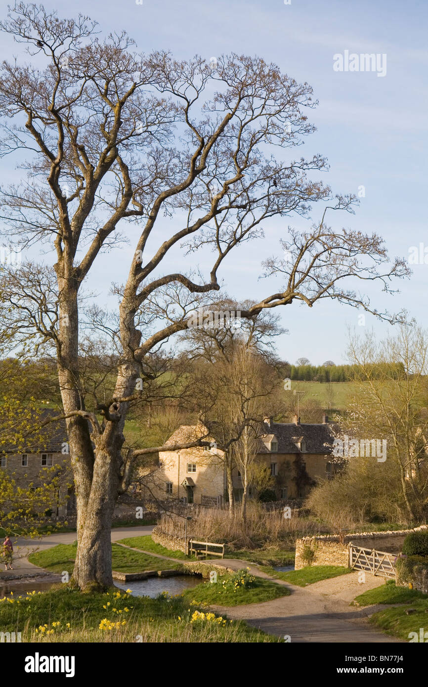 Upper Slaughter, Cotswolds, Gloucestershire, Inghilterra Foto Stock